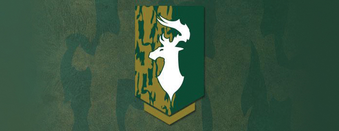 The Order of the Gauntlet